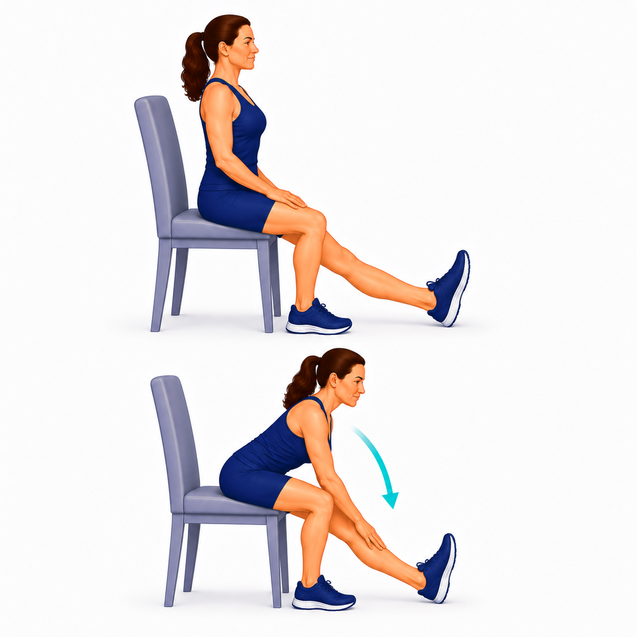 Hamstring Stretch exercise illustration