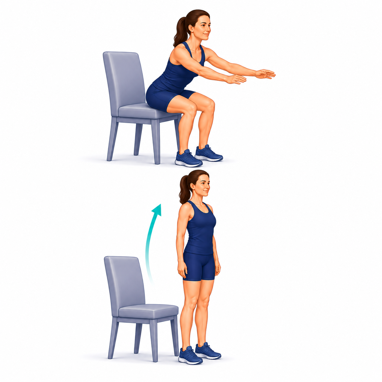 Sit-to-Stand exercise illustration